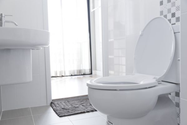 Cost of Toilet Relocation in South Lyon