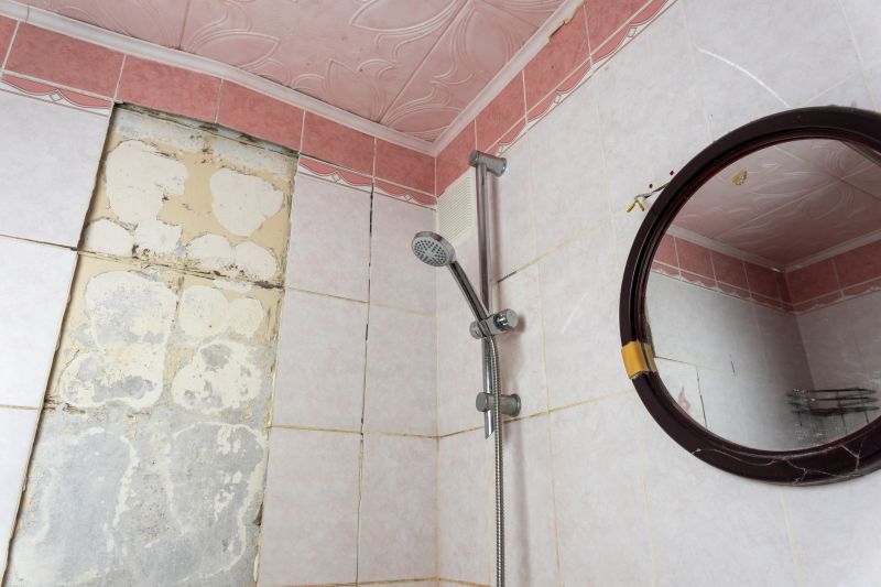 Top Shower Remodeling Companies in Taylor, MI