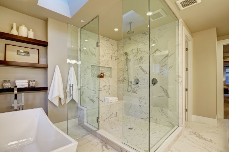 Top Tub To Shower Conversion Companies in Milan, MI